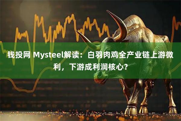 钱投网 Mysteel解读：白羽肉鸡全产业链上游微利，下游成利润核心？