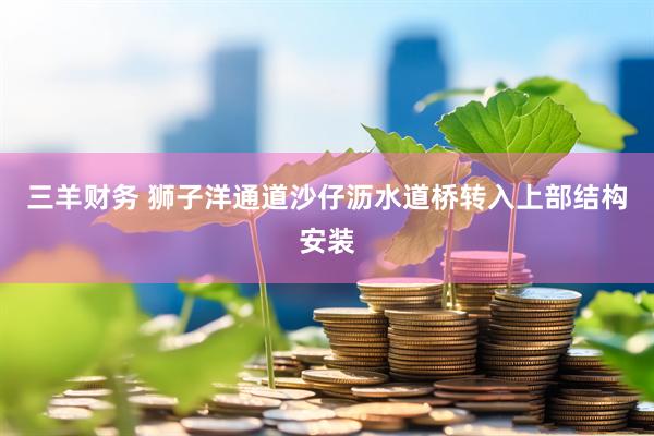 三羊财务 狮子洋通道沙仔沥水道桥转入上部结构安装