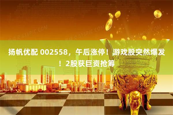 扬帆优配 002558,午后涨停!游戏股突然爆发!2股获巨资抢筹
