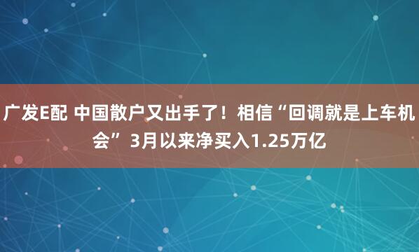 广发E配 中国散户又出手了！相信“回调就是上车机会” 3月以来净买入1.25万亿