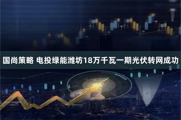 国尚策略 电投绿能潍坊18万千瓦一期光伏转网成功