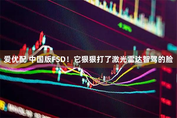 爱优配 中国版FSD！它狠狠打了激光雷达智驾的脸