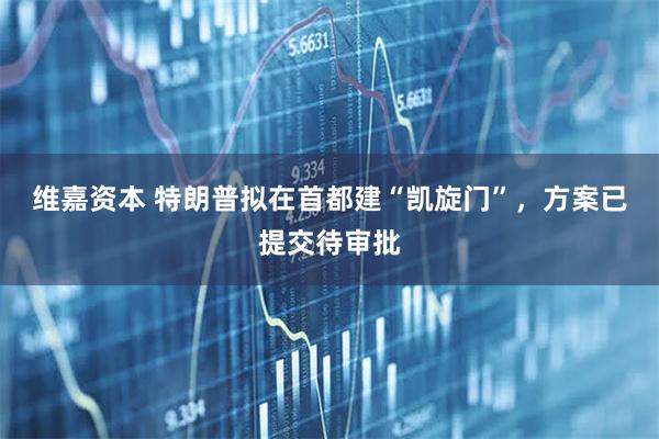 维嘉资本 特朗普拟在首都建“凯旋门”，方案已提交待审批