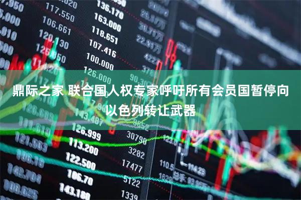 鼎际之家 联合国人权专家呼吁所有会员国暂停向以色列转让武器